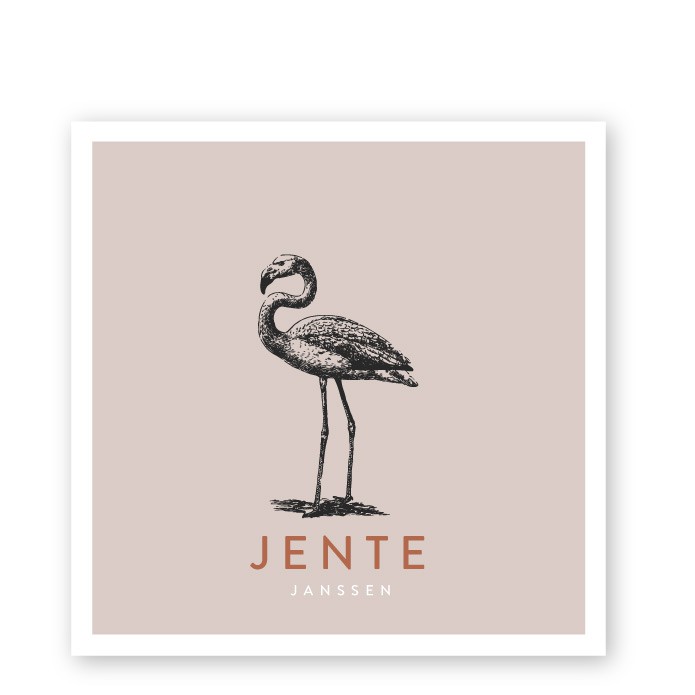 Geboortekaartje vierkant flamingo Jente