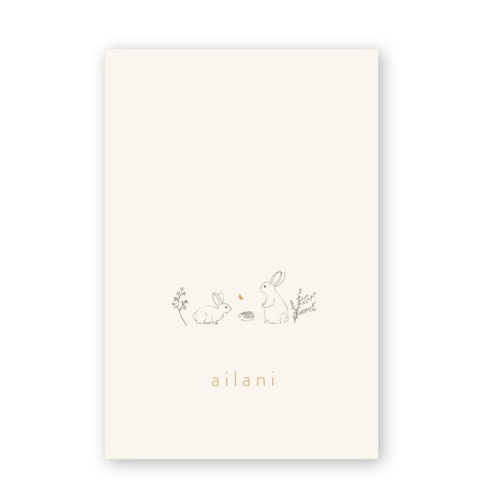 Geboortekaartje getekend konijntjes Ailani
