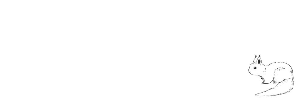 Adresetiket eekhoorn