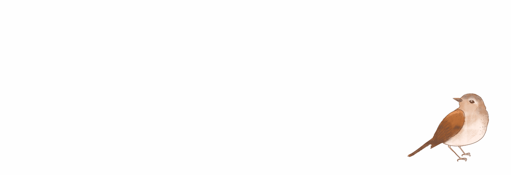 Adresetiket Getekend Vogeltje