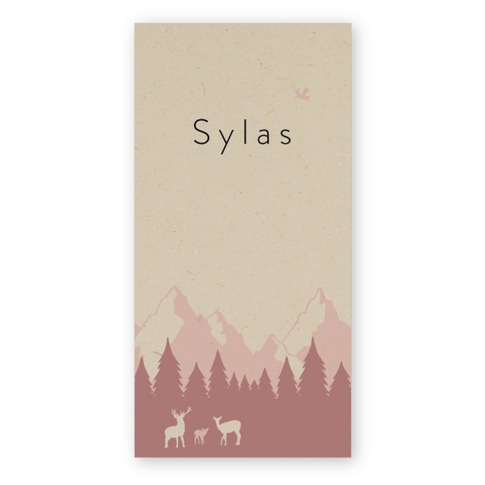 Geboortekaartje duurzaam bergen Sylas