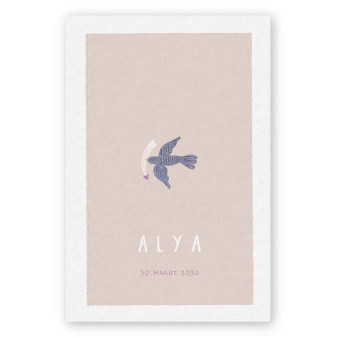 Geboortekaartje Alya - Froukje den Nijs