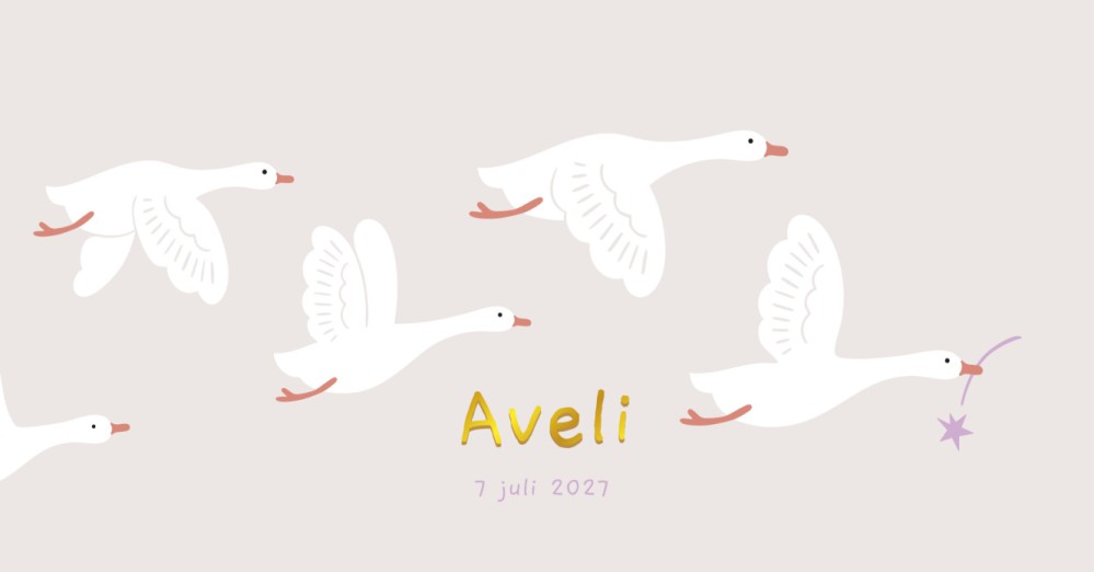 Geboortekaartje Aveli Vliegende Ganzen Dubbel