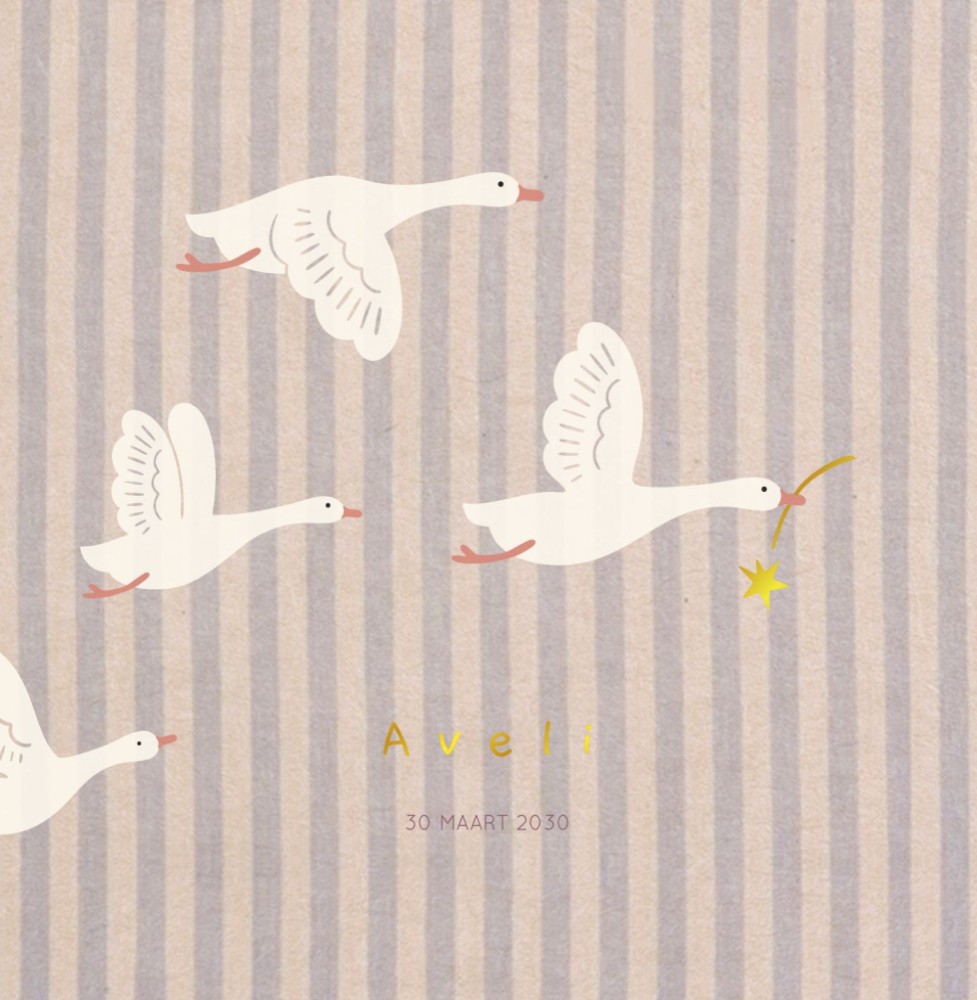 Geboortekaartje Aveli vliegende ganzen strepen lila
