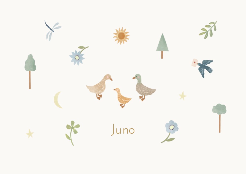 Geboortekaartje Juno eendjes dubbel