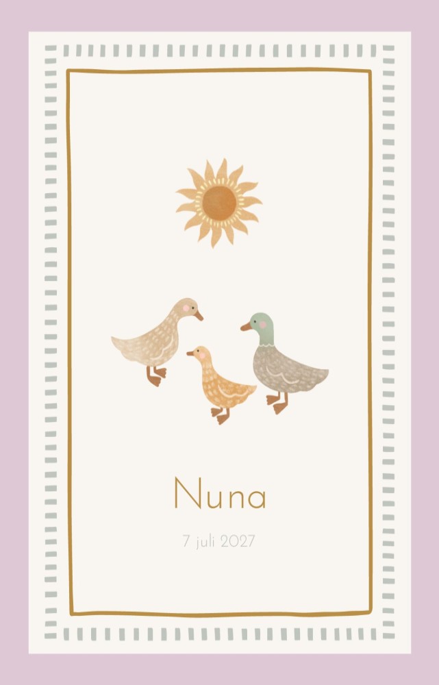 Geboortekaartje Nuna eendjes kaders dubbel