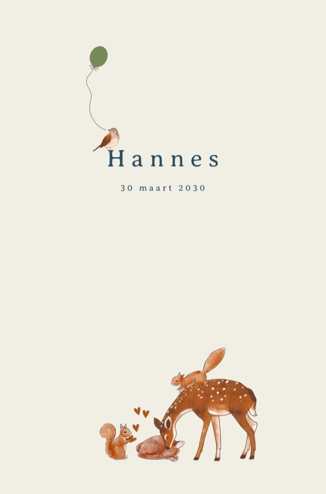 Geboortekaartje Hannes hertjes eekhoorns