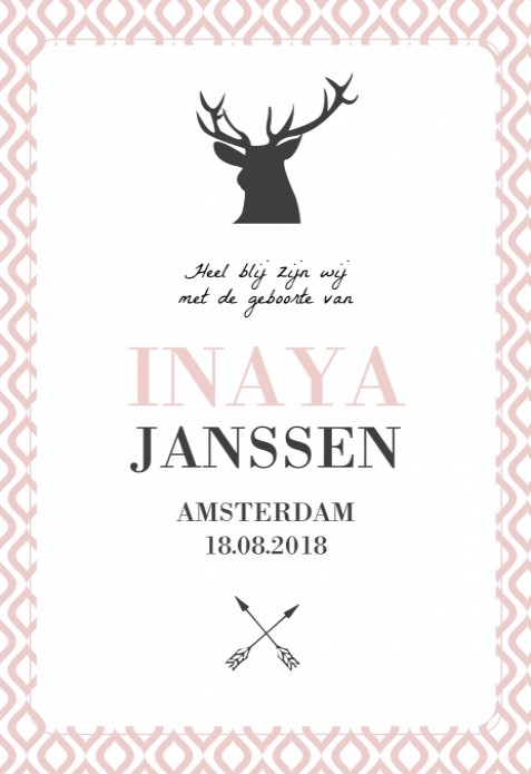 Geboortekaartje hertje en pijlen - Inaya