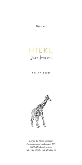 Geboortekaartje getekende giraffe Hilke folie
