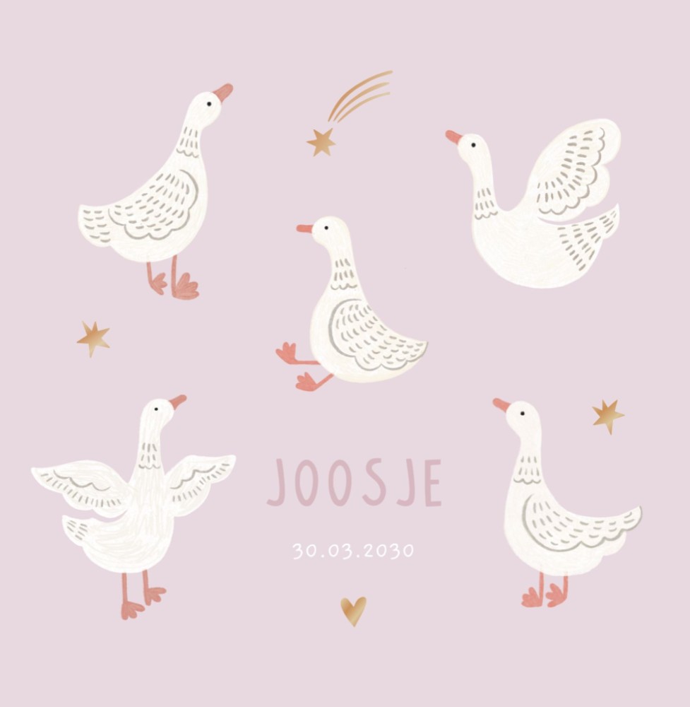 Geboortekaartje Joosje 5 gansjes enkel - Froukje