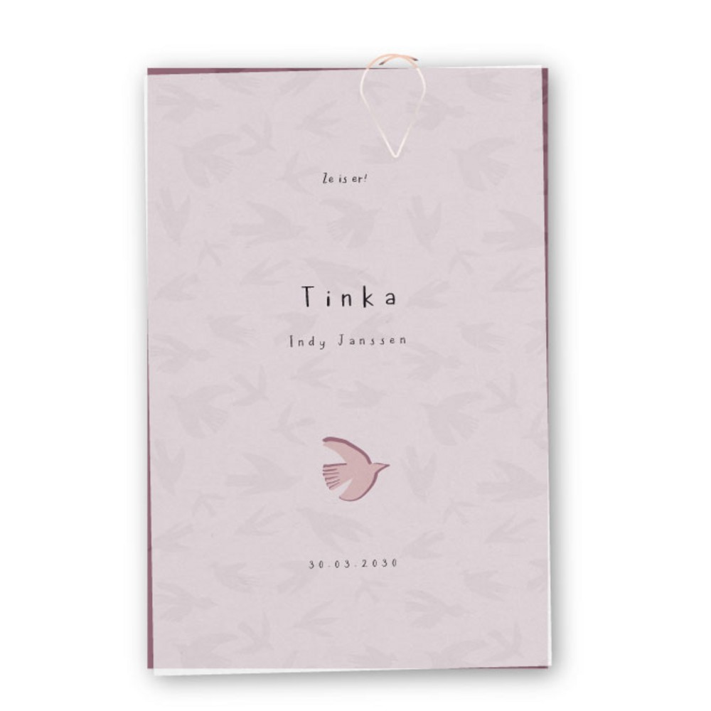 Geboortekaartje kalkpapier labels vogels Tinka