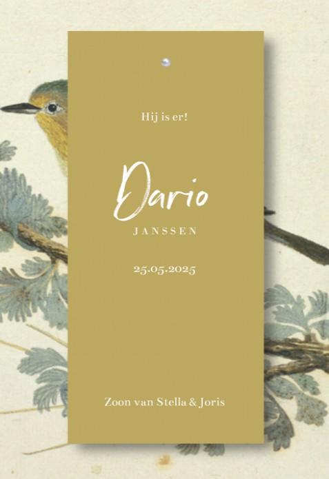 Geboortekaartje label splitpen Dario
