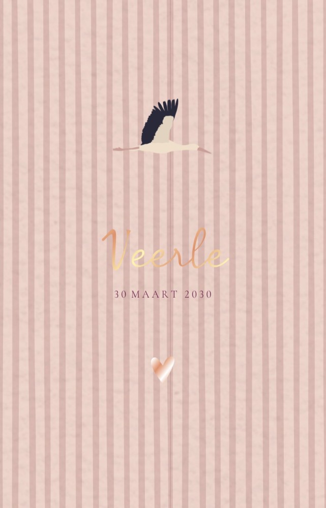 Geboortekaartje met subtiele lijnen ooievaar Veerle - Froukje den Nijs