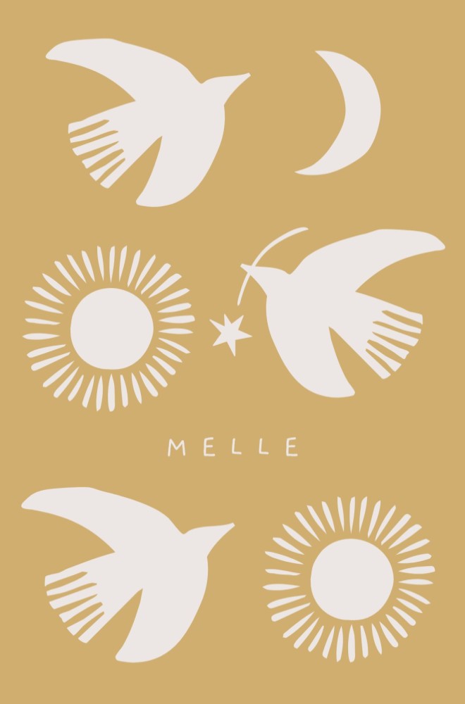 Geboortekaartje Melle zon vogeltjes