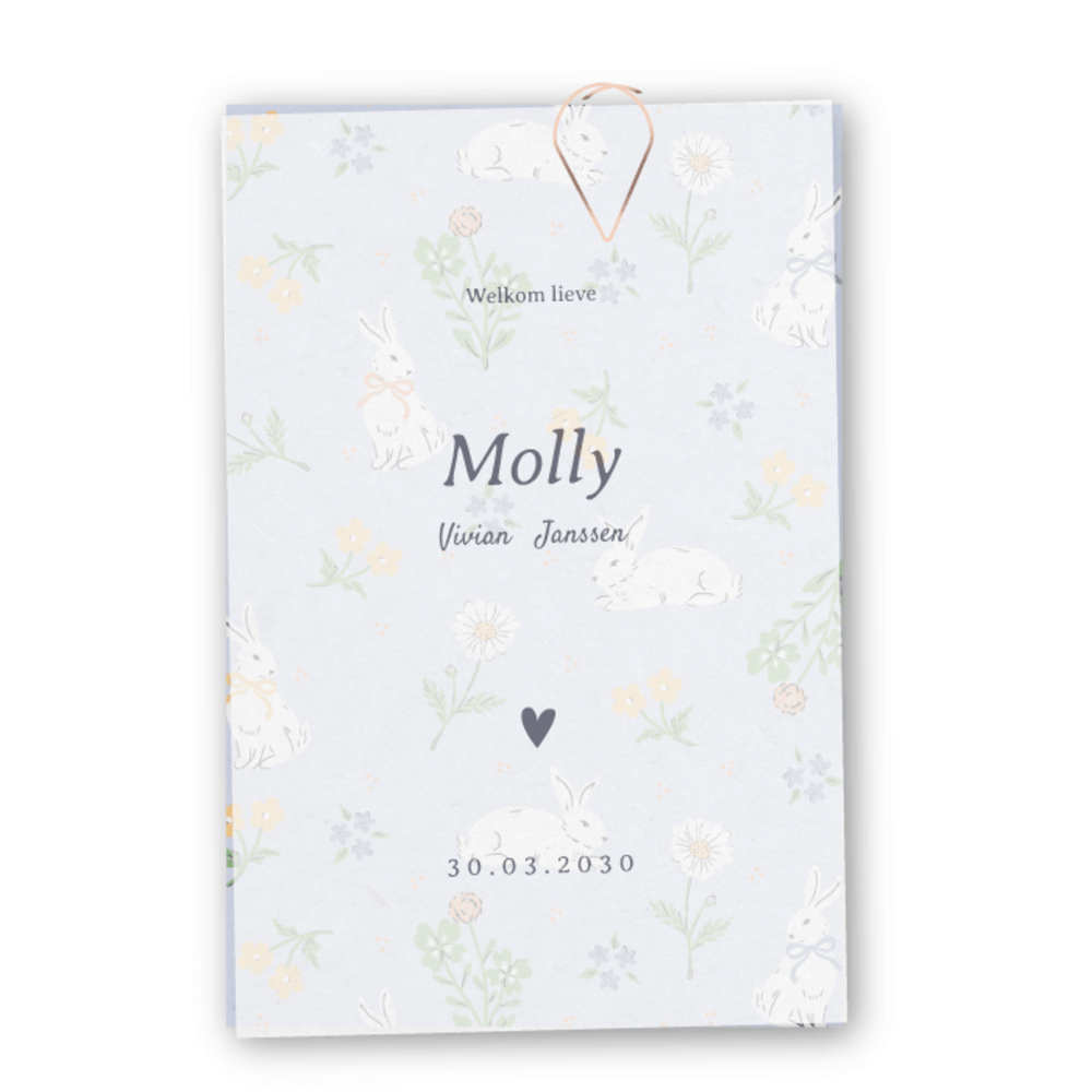 Geboortekaartje Molly met handgetekend konijntje - Sofi Grace