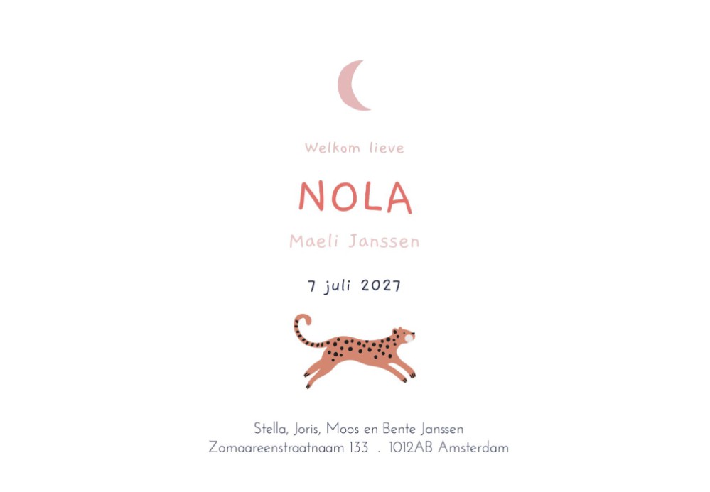 Geboortekaartje Nola luipaard patroon - Froukje den Nijs