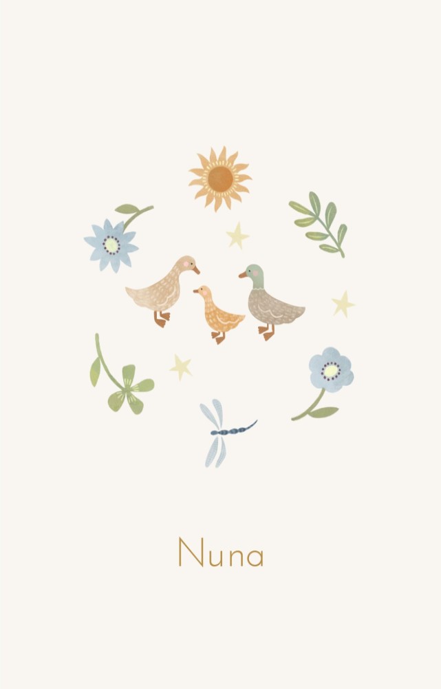 Geboortekaartje Nuna eendjes lente dubbel