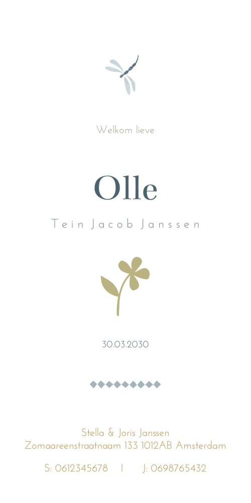 Geboortekaartje Olle waterverf bloemen 10x20 - Froukje