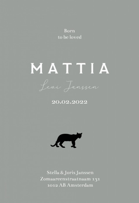 Geboortekaartje slang print Mattia achter