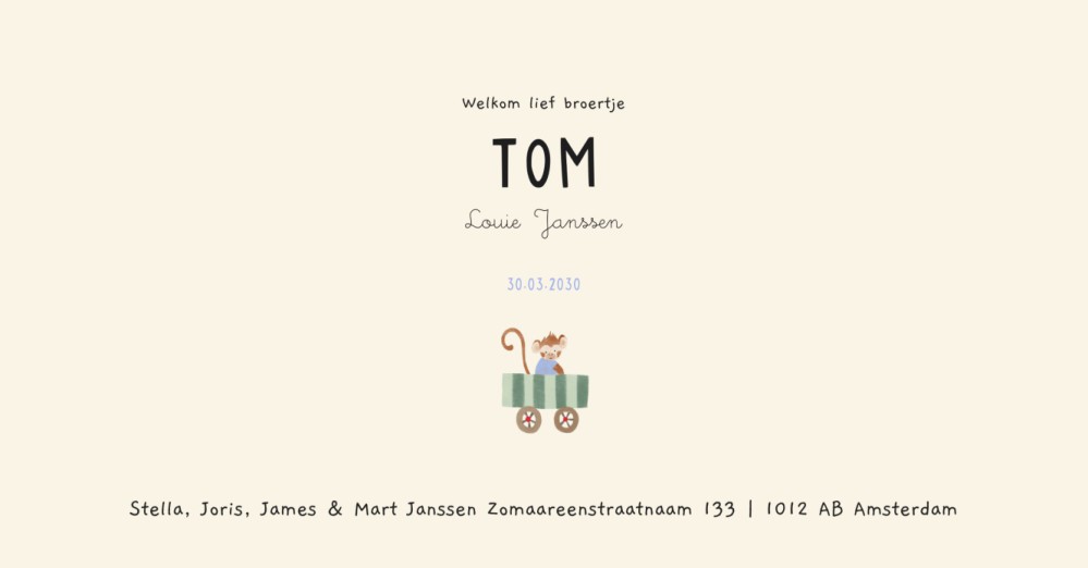 Geboortekaartje Tom optocht - Froukje den Nijs