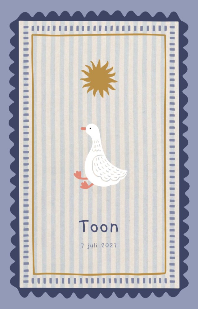 Geboortekaartje Toon kaders gansje dubbel
