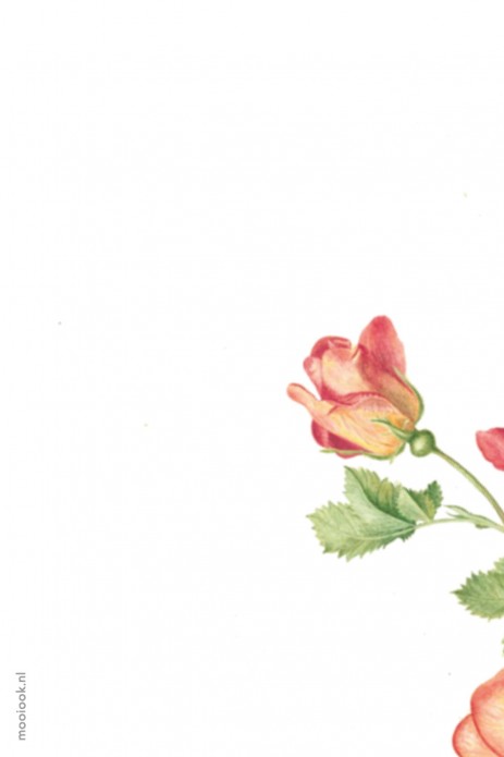 Geboortekaartje vintage botanische bloemen Juul achter
