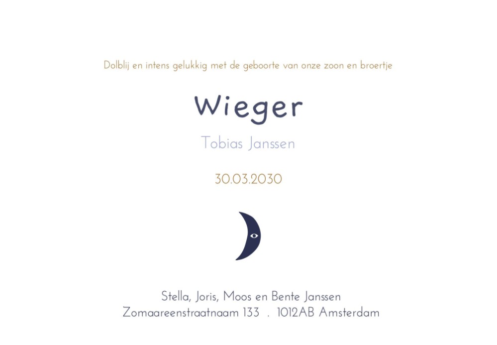 Geboortekaartje Wieger Vliegende Ganzen 15x10