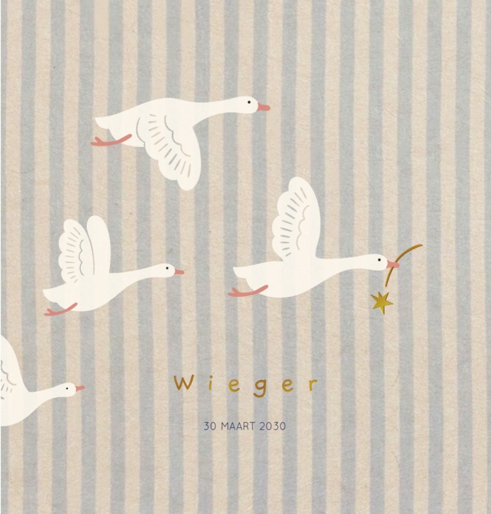 Geboortekaartje Wieger vliegende ganzen strepen dubbel