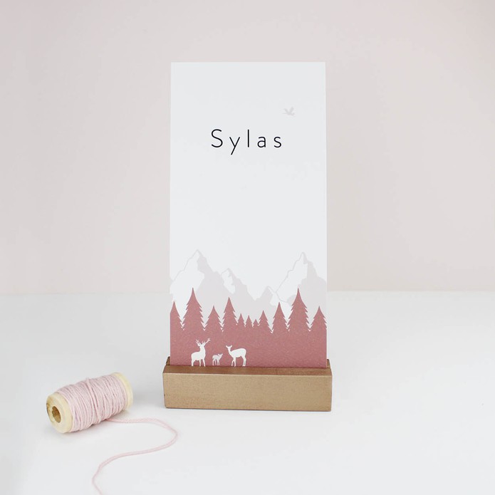 Geboortekaartje bergen bos Sylas