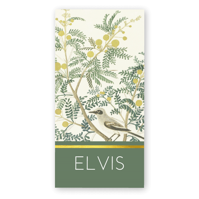 Geboortekaartje vintage botanisch vogeltje Elvis