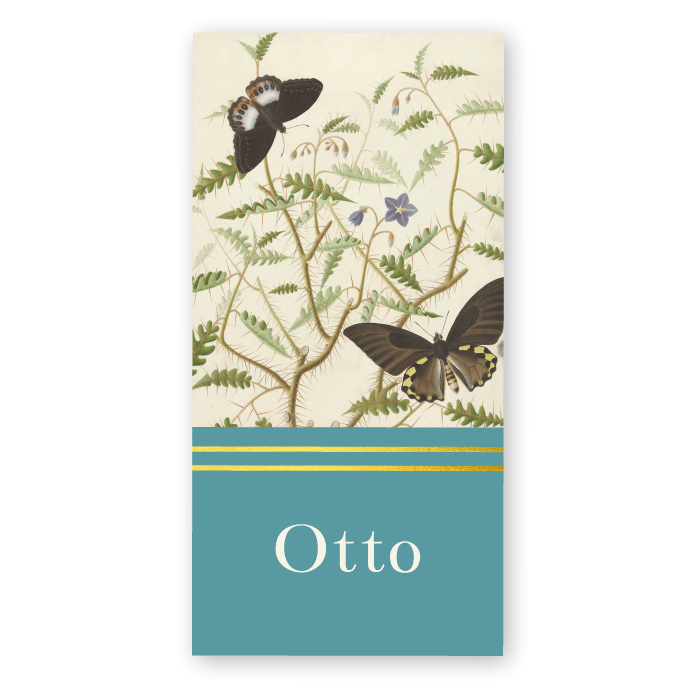 Geboortekaartje botanisch vlinders Otto