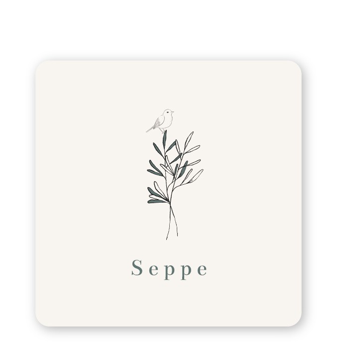 Geboortekaartje getekende takjes Seppe
