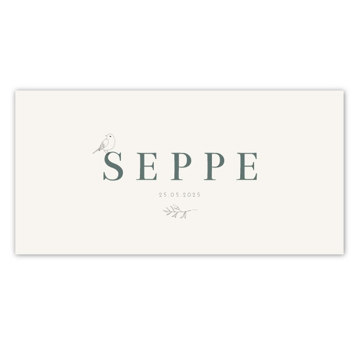 Geboortekaartje takje Seppe