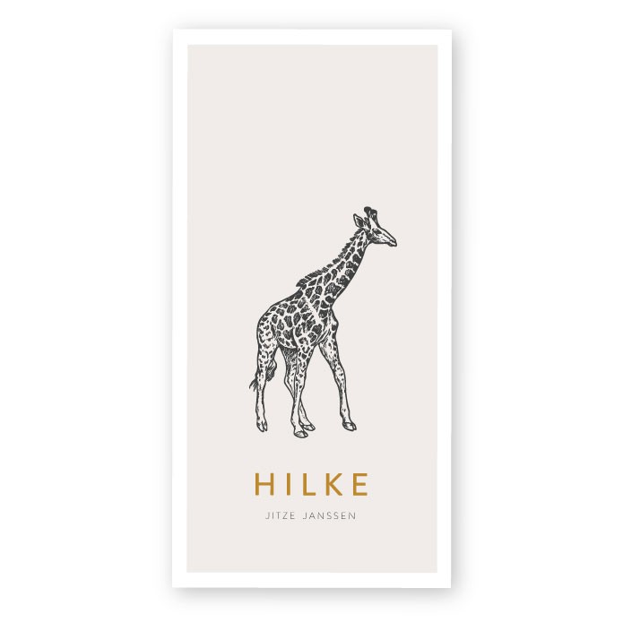 Geboortekaartje Giraffe Hilke