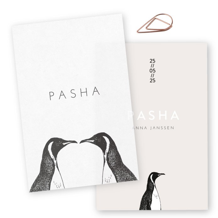 Geboortekaartje kalkpapier pinguins Pasha
