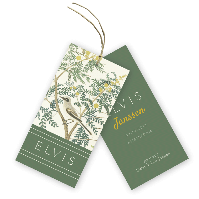 Geboortekaartje labels botanisch vogeltje Elvis
