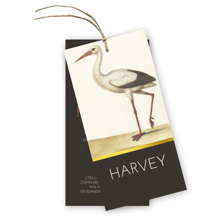 Geboortekaartje label vintage ooievaar Harvey