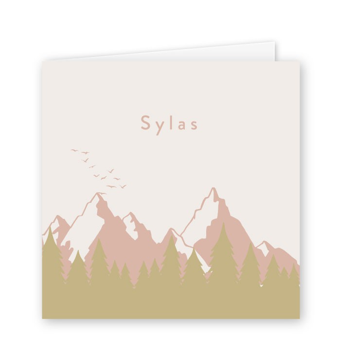 Geboortekaartje bergen Sylas dubbel