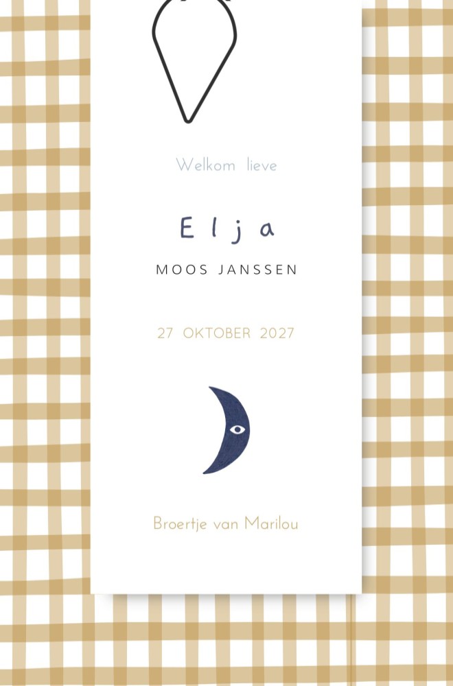 Geboortekaartje Elja Ruitje Label - Froukje