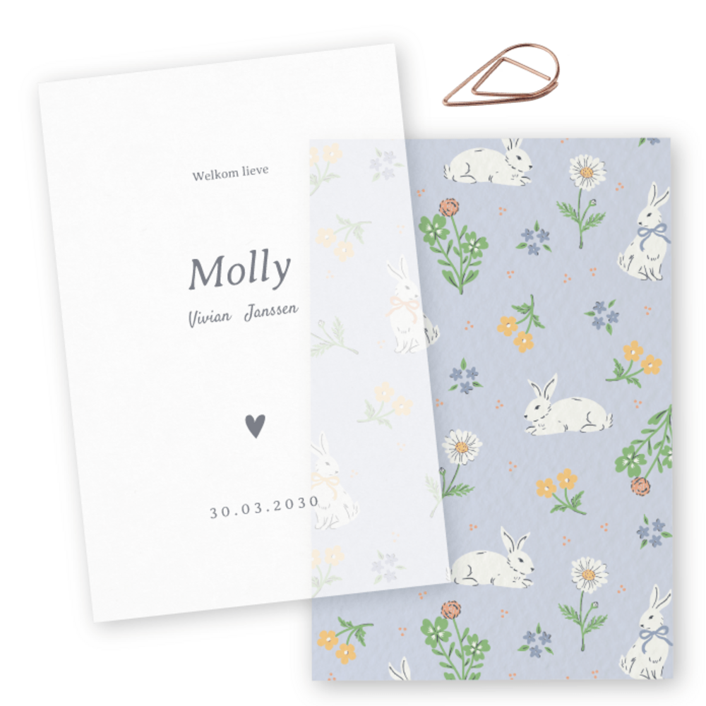 Geboortekaartje Molly met handgetekend konijntje - Sofi Grace