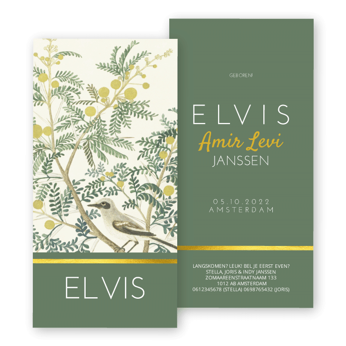Geboortekaartje vintage botanisch vogeltje Elvis