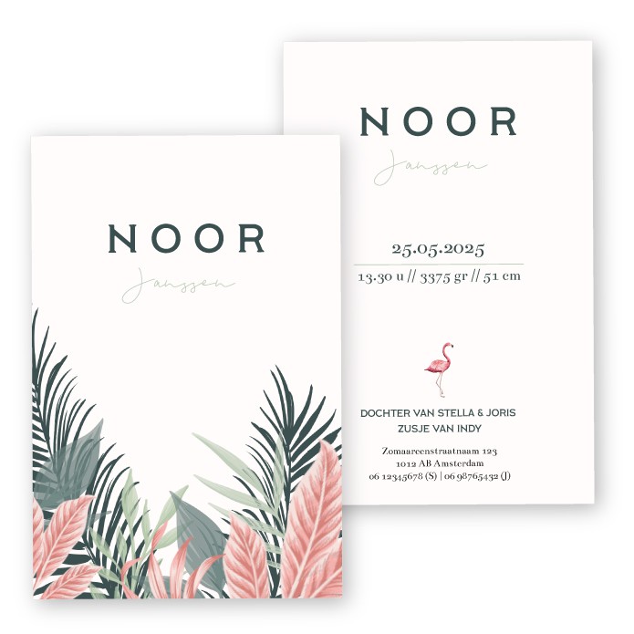 Geboortekaartje jungle flamingo Noor