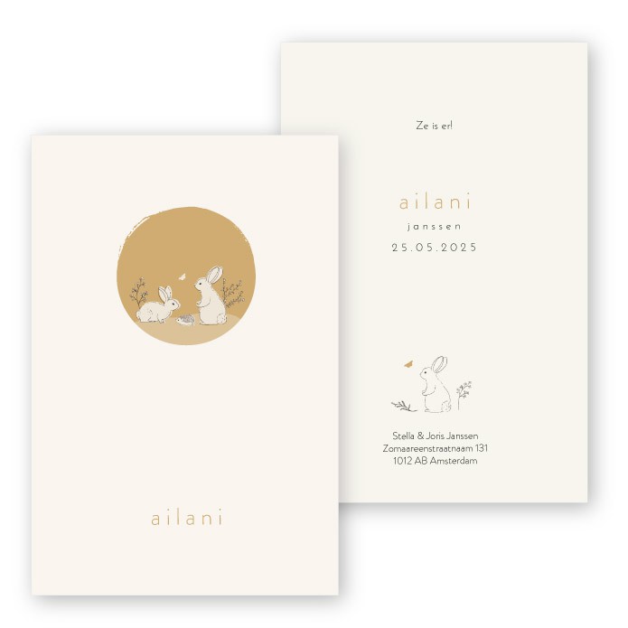 Geboortekaartje getekende konijntjes Ailani