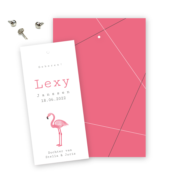 Geboortelabel geometrisch flamingo Lexy