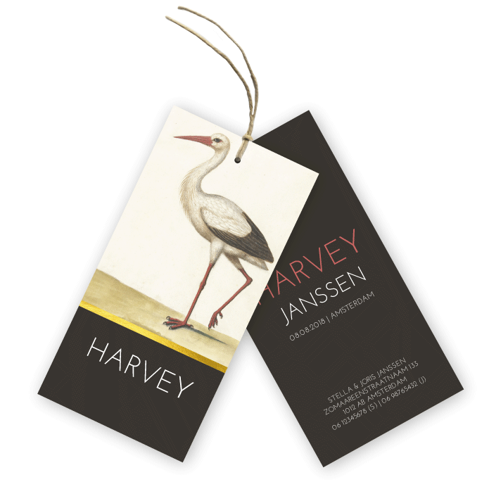 Geboortekaartje label vintage ooievaar Harvey