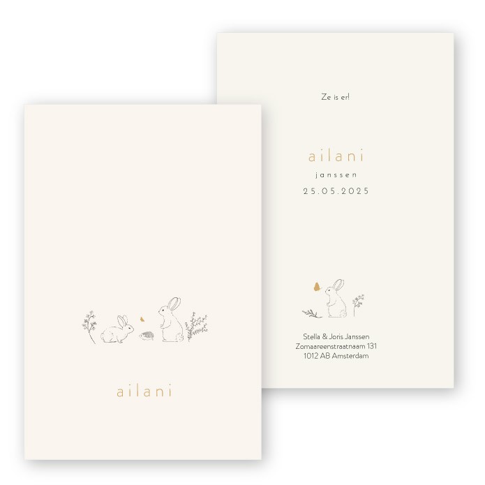 Geboortekaartje getekend konijntjes Ailani