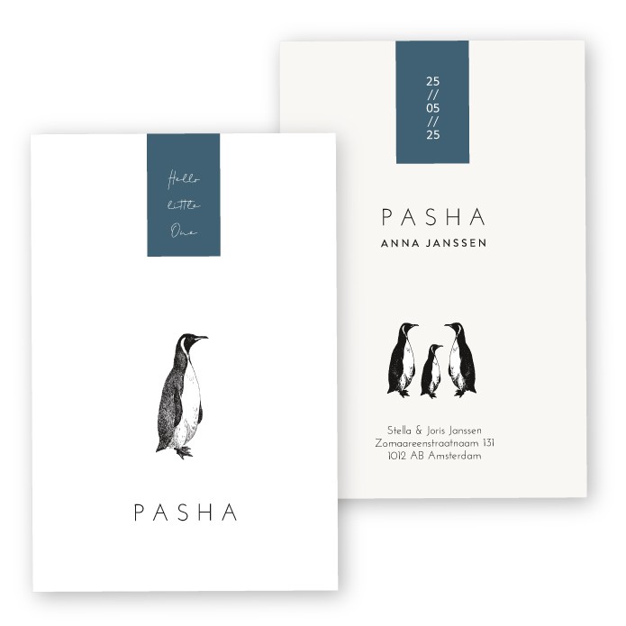 Geboortekaartje pinguin Pasha