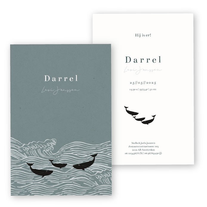 Geboortekaartje walvis Darrel