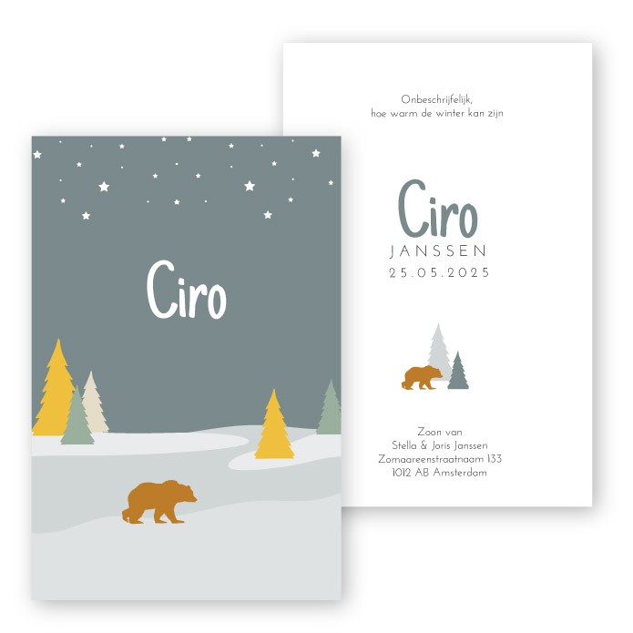 geboortekaartjes-winter-ijsbeertje-ciro