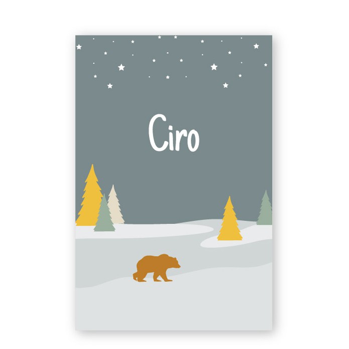 geboortekaartje-winter-ijsbeertje-ciro